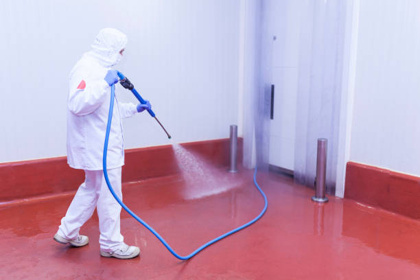 Best Pre-Holiday Cleaning  in Decatur, MS